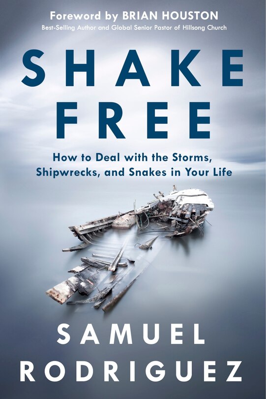 Couverture_Shake Free