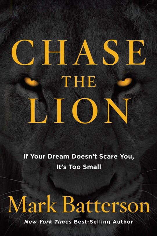 Couverture_Chase The Lion