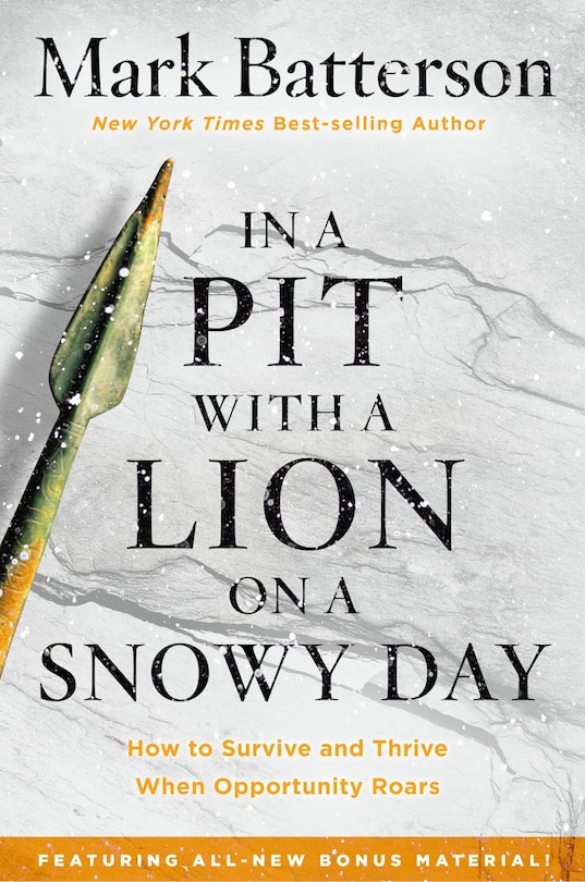 Couverture_In A Pit With A Lion On A Snowy Day