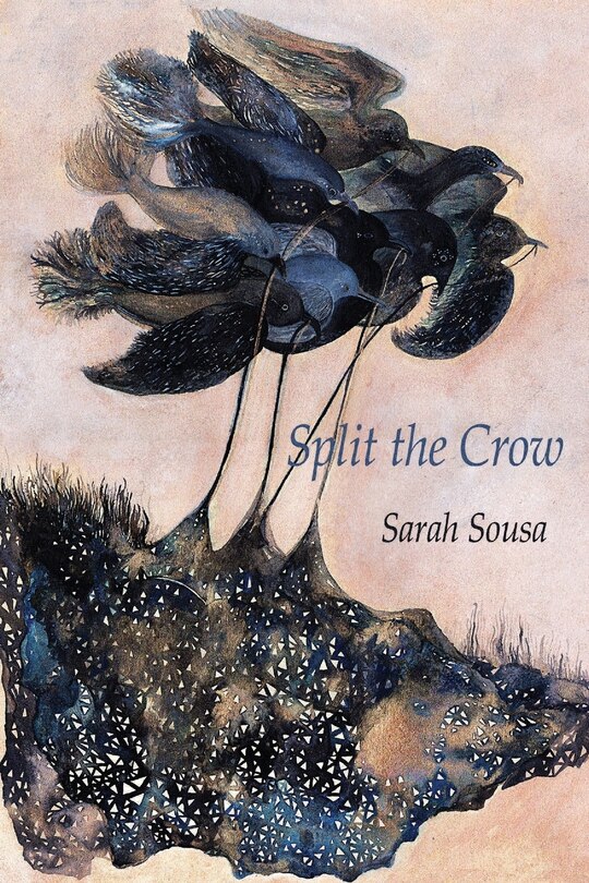 Front cover_Split the Crow
