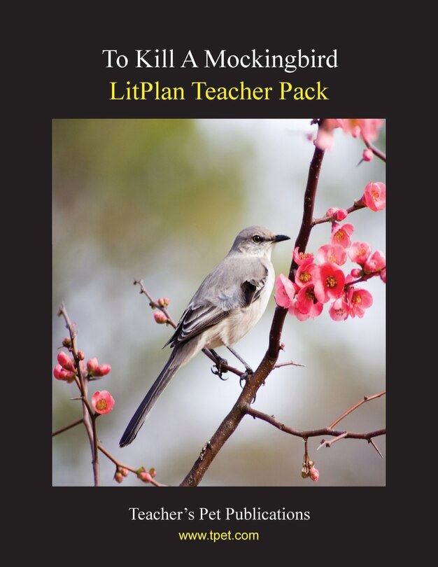 Front cover_Litplan Teacher Pack