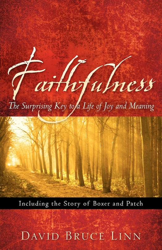 Couverture_Faithfulness, The Surprising Key to a Life of Joy and Meaning