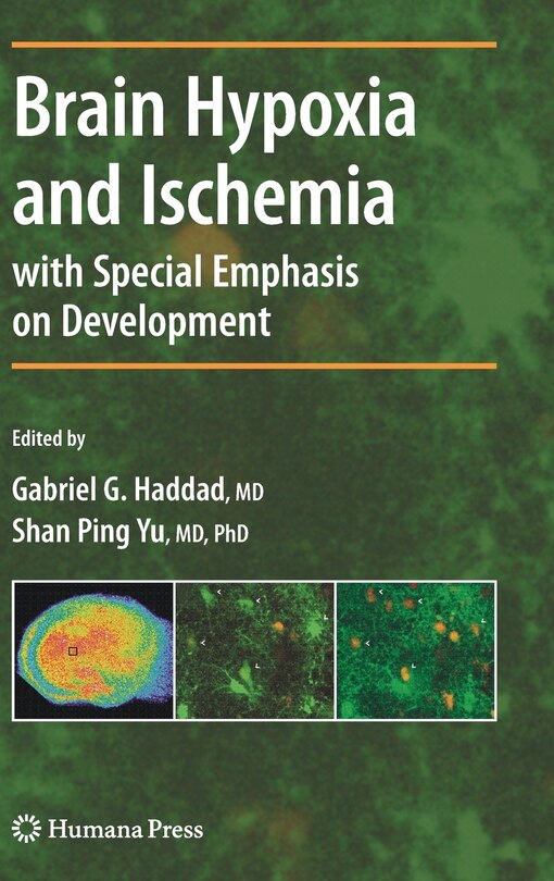 Front cover_Brain Hypoxia and Ischemia