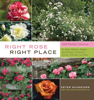 Front cover_Right Rose, Right Place