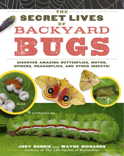 Front cover_The Secret Lives of Backyard Bugs