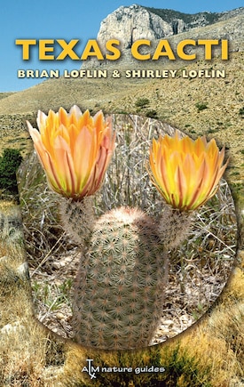 Texas Cacti: A Field Guide Volume 42