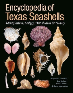 Couverture_Encyclopedia of Texas Seashells