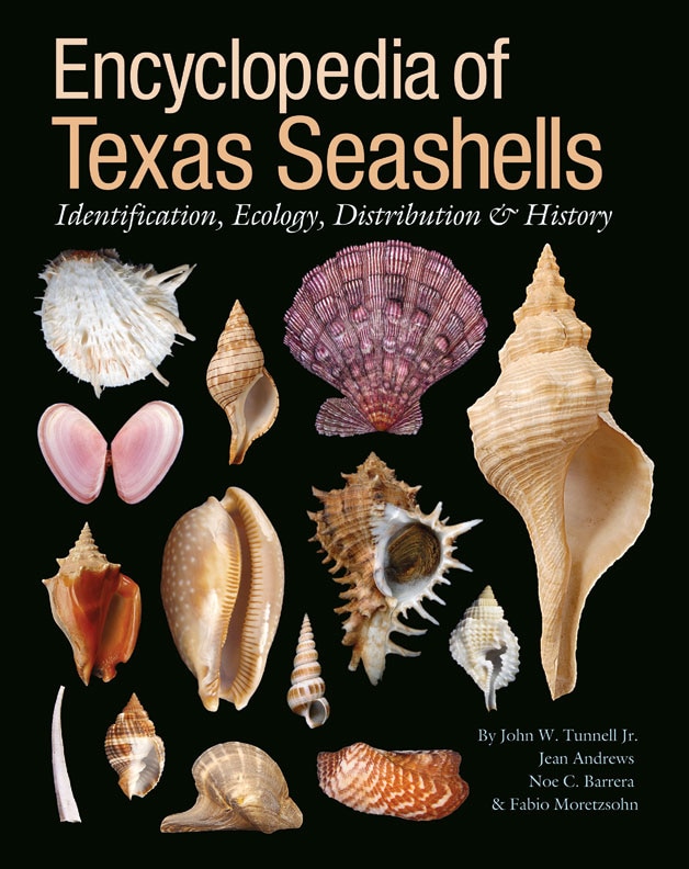 Couverture_Encyclopedia of Texas Seashells
