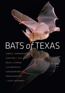 Front cover_Bats of Texas