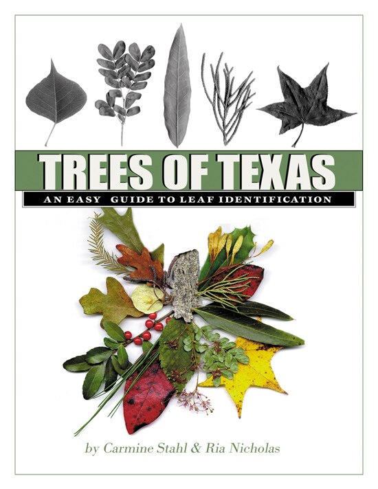 Couverture_Trees of Texas