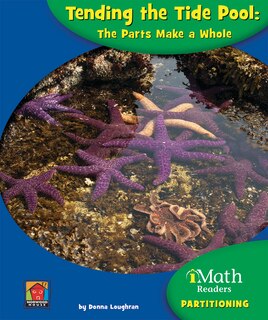 Tending the Tide Pool: The Parts Make a Whole