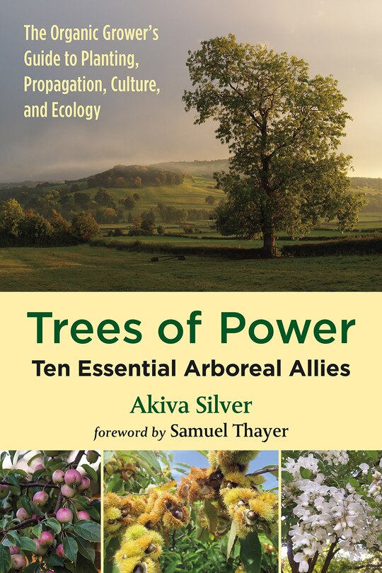 Front cover_Trees of Power