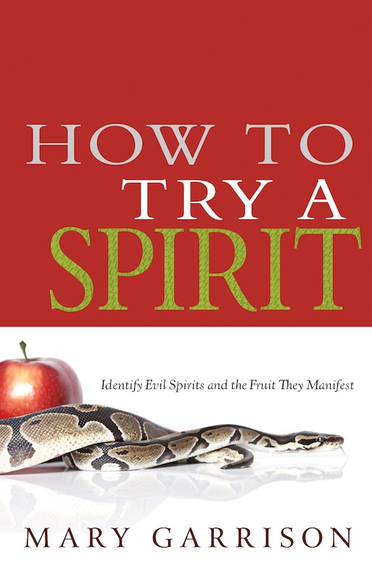 Front cover_How To Try A Spirit