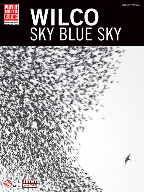 Front cover_Wilco - Sky Blue Sky