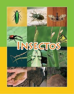 Couverture_Insectos