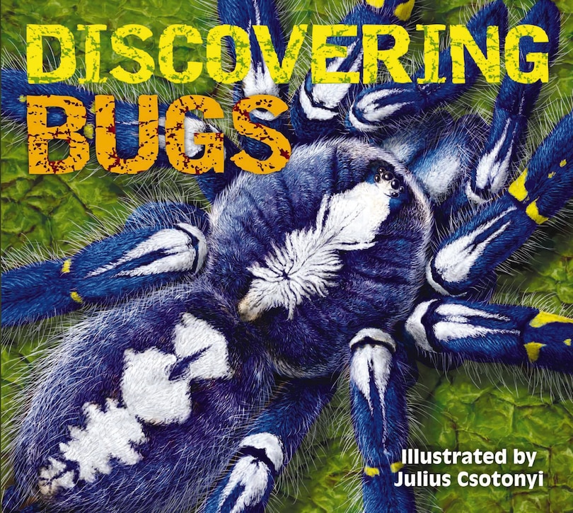 Front cover_Discovering Bugs