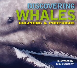 Front cover_Discovering Whales, Dolphins and   Porpoises