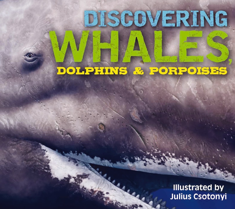 Front cover_Discovering Whales, Dolphins and   Porpoises