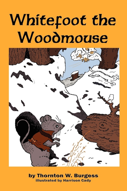 Whitefoot The Woodmouse