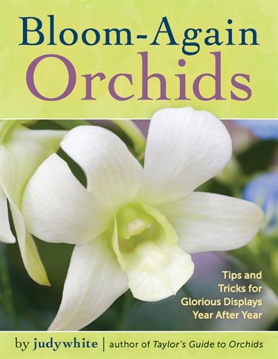 Couverture_Bloom-Again Orchids