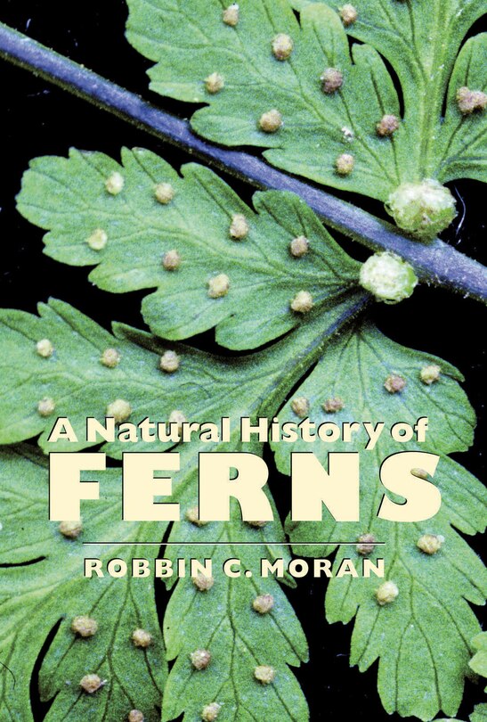 Front cover_A Natural History of Ferns