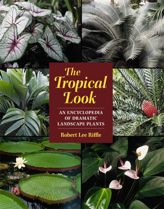 Couverture_The Tropical Look