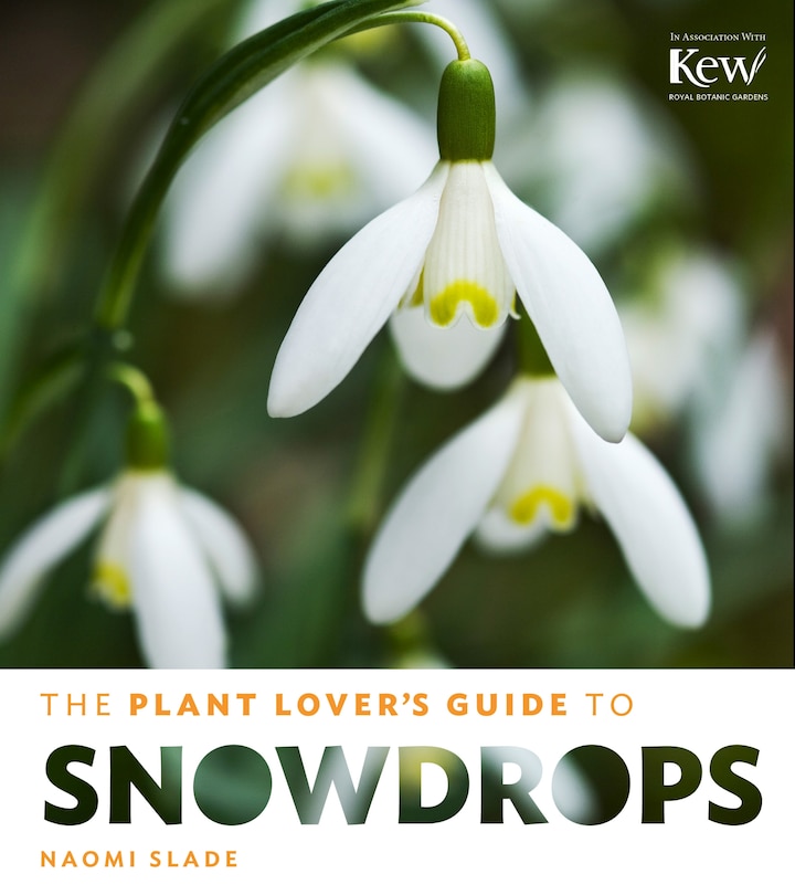 Couverture_The Plant Lover's Guide to Snowdrops