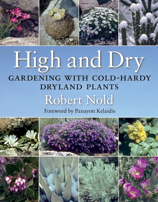 Couverture_High And Dry