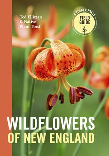 Front cover_Wildflowers of New England