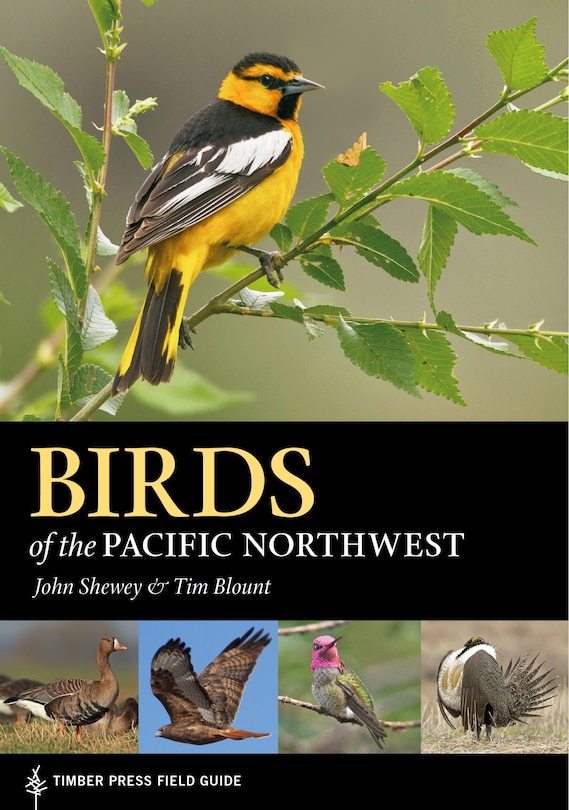 Front cover_Birds of the Pacific Northwest