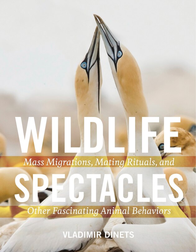 Couverture_Wildlife Spectacles