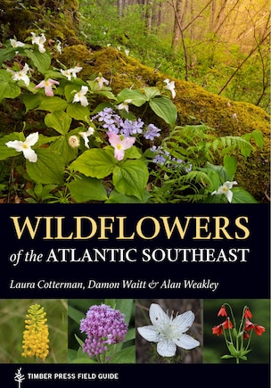 Wildflowers Of The Atlantic Southeast