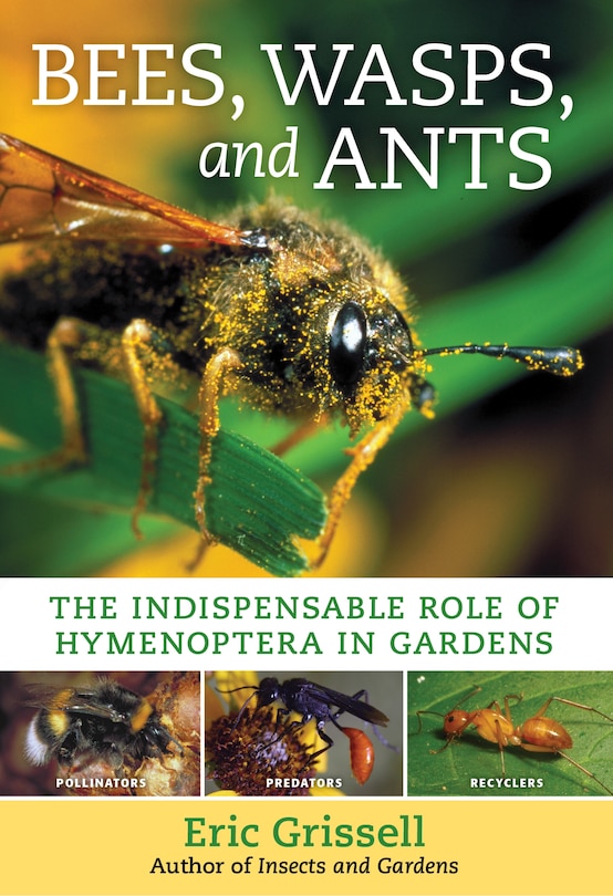 Couverture_Bees, Wasps, And Ants
