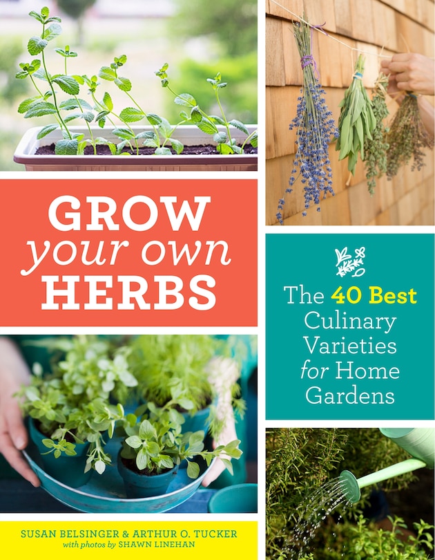 Front cover_Grow Your Own Herbs