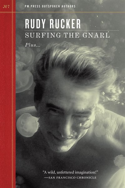 Couverture_Surfing the Gnarl