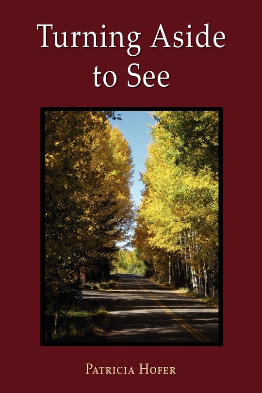 Couverture_Turning Aside to See