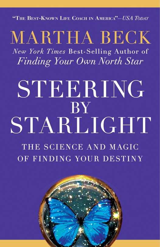 Couverture_Steering By Starlight
