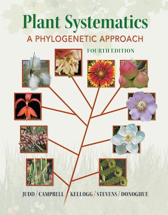 Plant Systematics: A Phylogenetic Approach