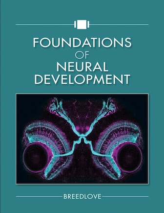 Foundations of Neural Development