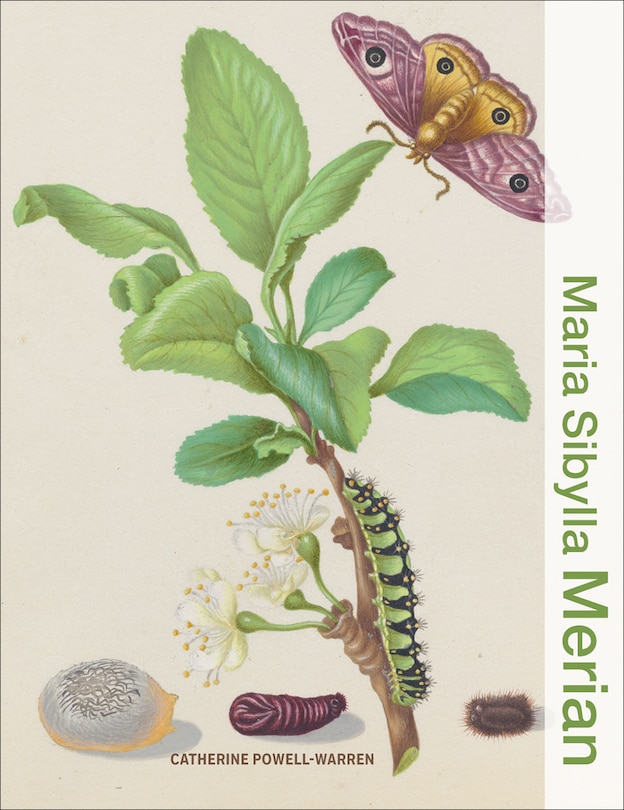 Couverture_Maria Sibylla Merian