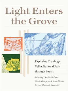 Front cover_Light Enters the Grove