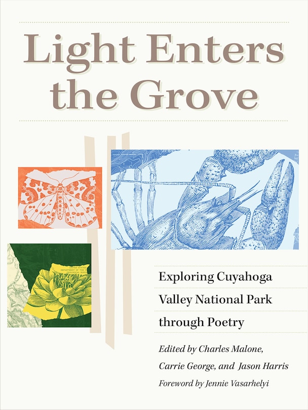 Front cover_Light Enters the Grove