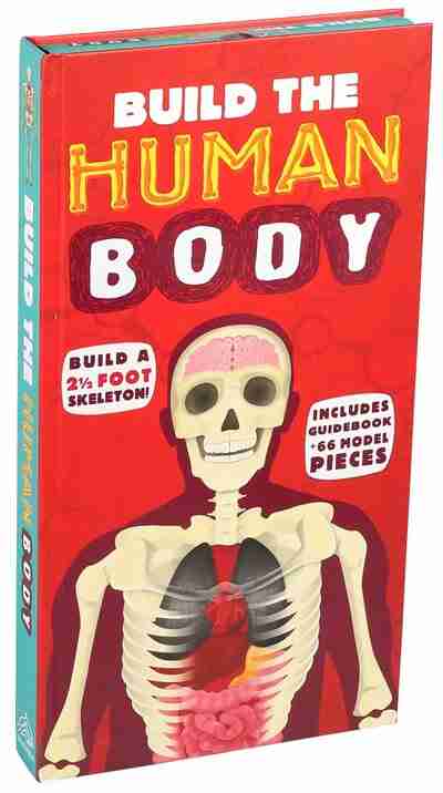 Build The Human Body, Book By Richard Walker (Book & Toy) |  Www.chapters.indigo.ca