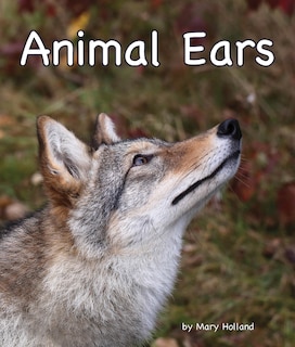 Couverture_Animal Ears