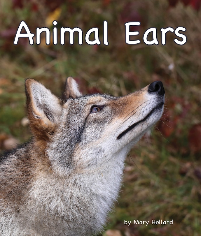 Couverture_Animal Ears