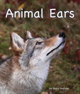 Couverture_Animal Ears