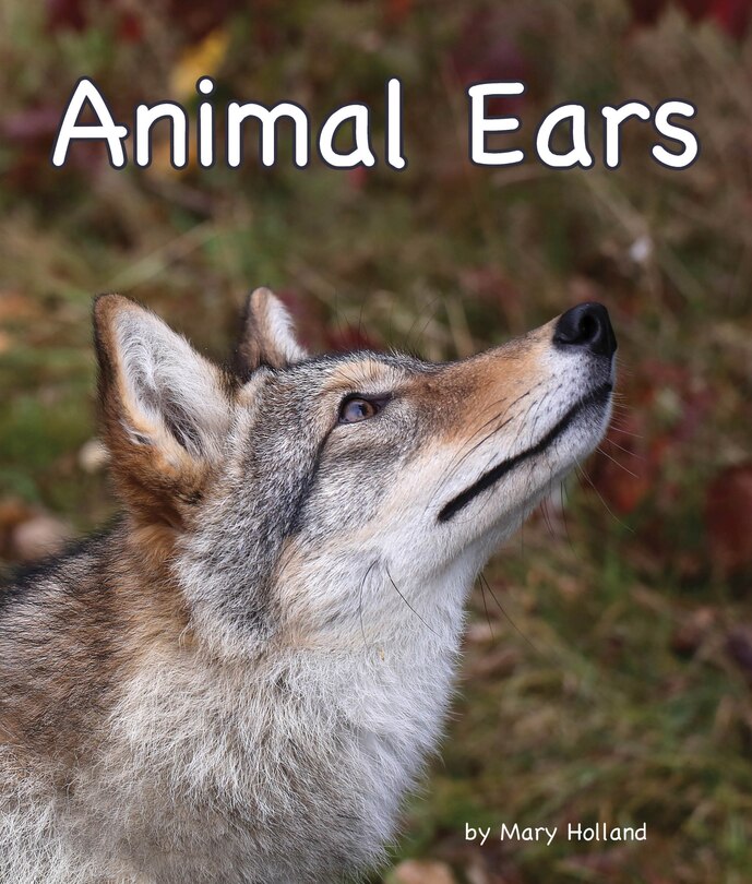 Couverture_Animal Ears