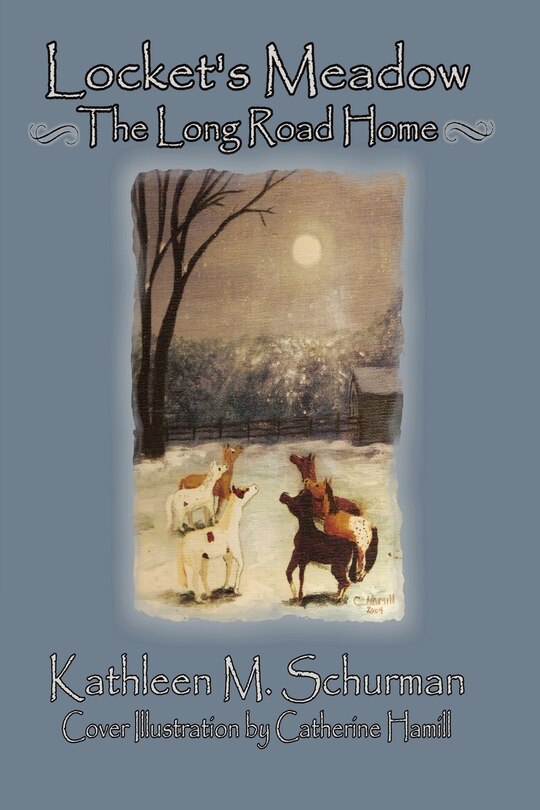 Front cover_Locket's Meadow - The Long Road Home
