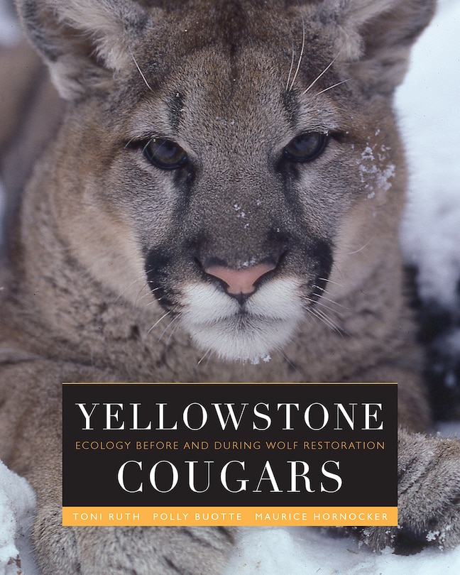 Couverture_Yellowstone Cougars