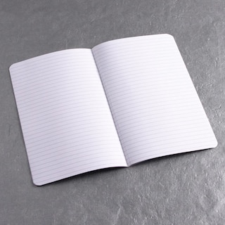 Front cover_ecosystem Pocket Insert Ruled Pages